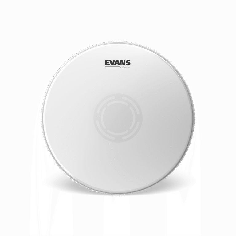 ev_b14uv1rd_main_transparent_web